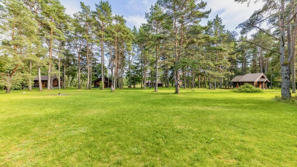 Joeaeaere Puhkekeskus Villa Langa Exteriör bild