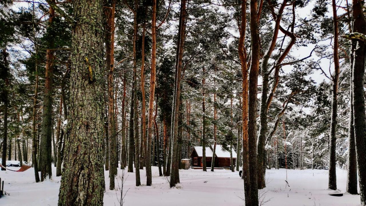 Joeaeaere Puhkekeskus Villa Langa Exteriör bild