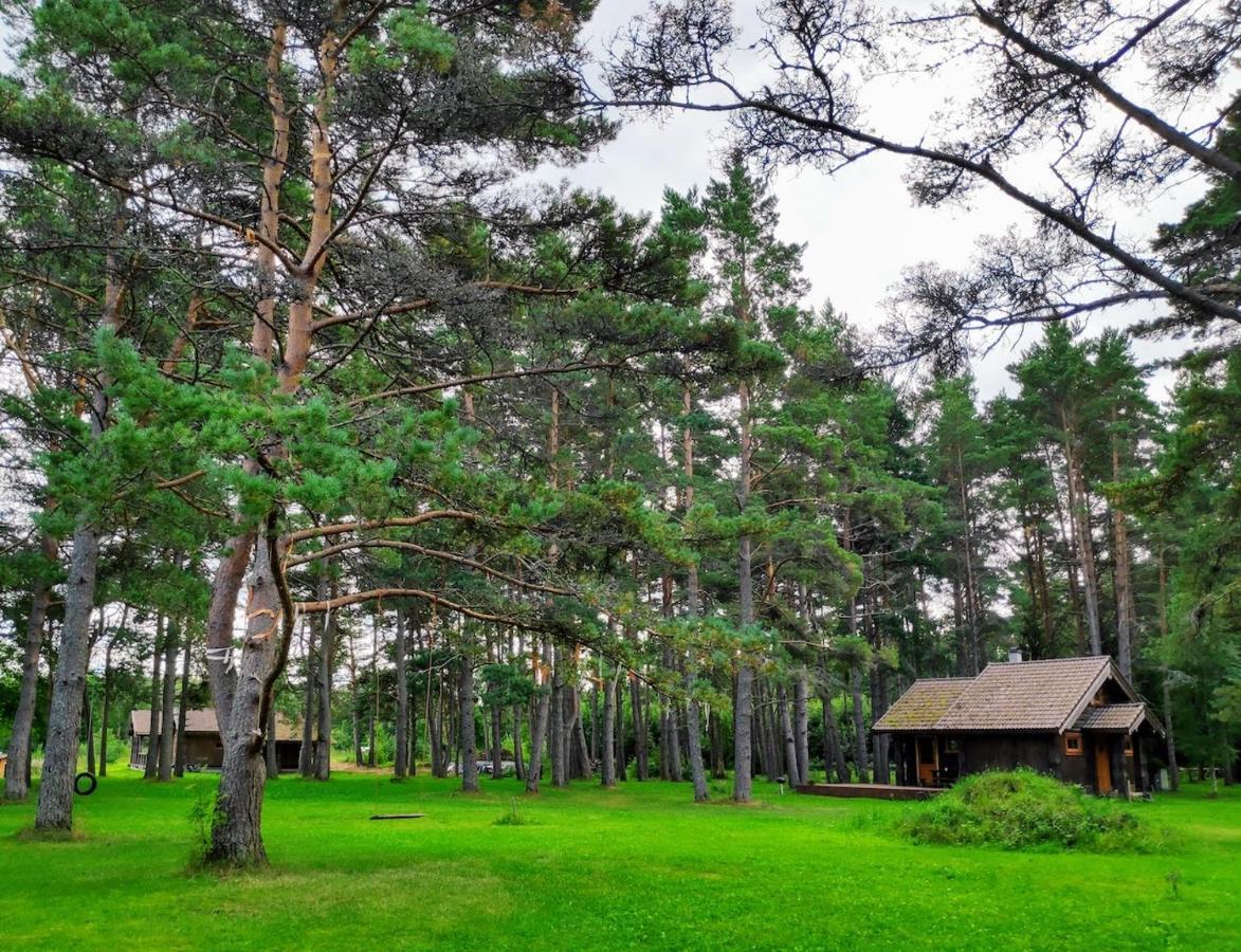 Joeaeaere Puhkekeskus Villa Langa Exteriör bild